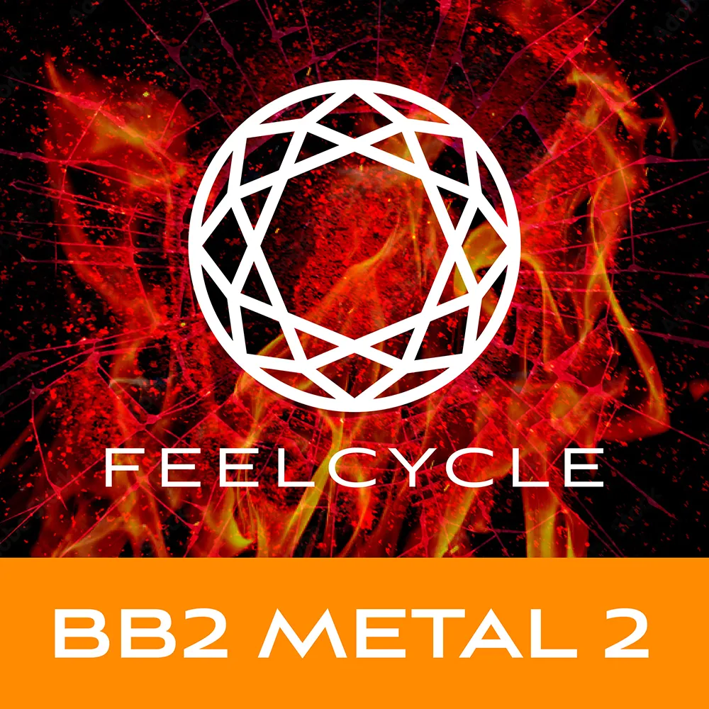 BB2 METAL 2