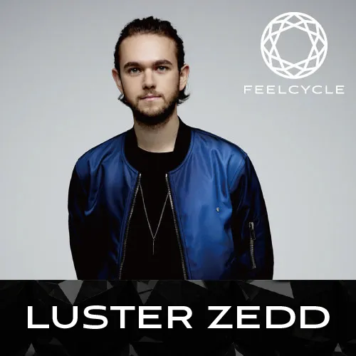 LUSTER 2019 ZEDD MIX