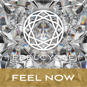 プログラム「FEEL NOW」登場