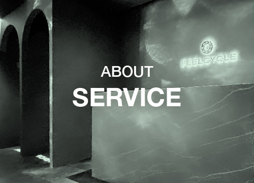 ABOUT SERVICE