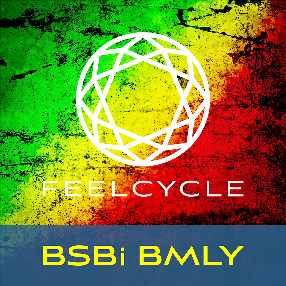 BSBi BMLY